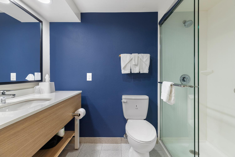 Bathroom 4, Spark by Hilton Waynesboro, Waynesboro