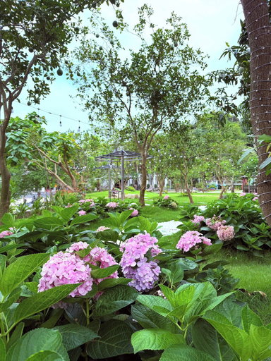 Property grounds 4, SoLaRa TRANG AN RESORT - Thap Gia Trang, Hoa Lư