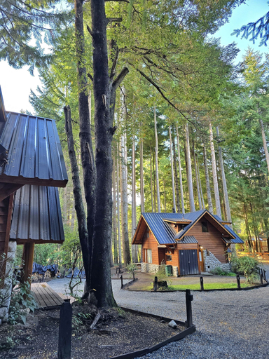 Exterior 5, Cabañas en el bosque de Puerto Manzano, Los Lagos
