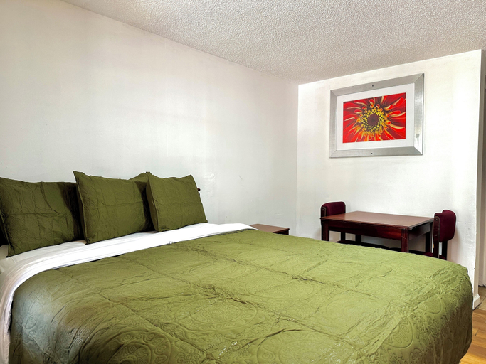 Room 5, skyland motel, Sumter