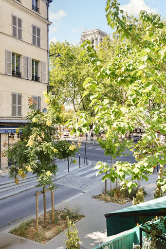 View from property, Hotel Murmures Notre-Dame, Paris