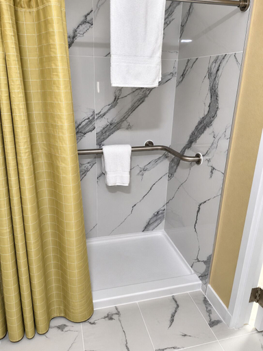 Bathroom 4, Holiday Lodge Hotel & Conference Center, Fayette