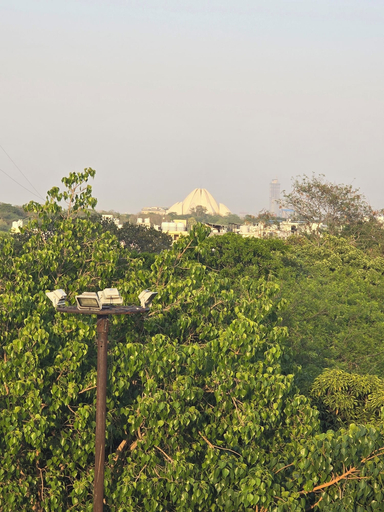 Miscellaneous, Slepyy Fox, Delhi