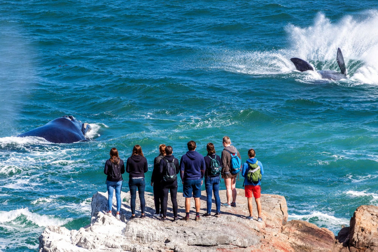 Others 5, never@home Hermanus, Overberg