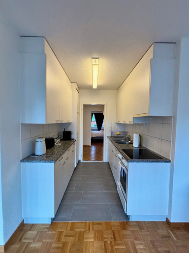 Private kitchen 4, Basic 2 BR Apartment in Witikon district, Zürich