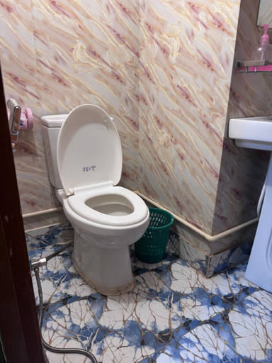 Bathroom 2, Hotel Shopno Nibash, Dhaka