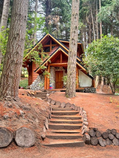 Exterior 3, Cabañas en el bosque de Puerto Manzano, Los Lagos