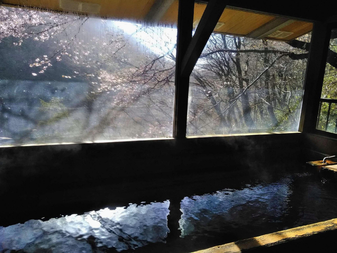 Others 4, Kita Onsen Ryokan Spa, Nasu