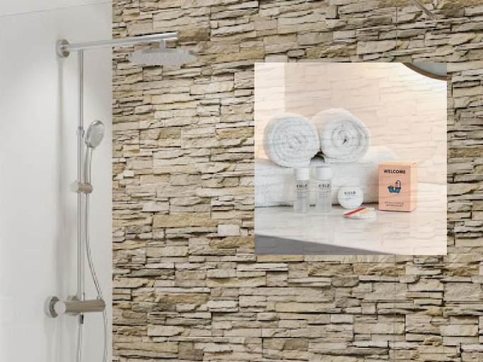 Bathroom 5, Odyssee-Auvergne, Allier