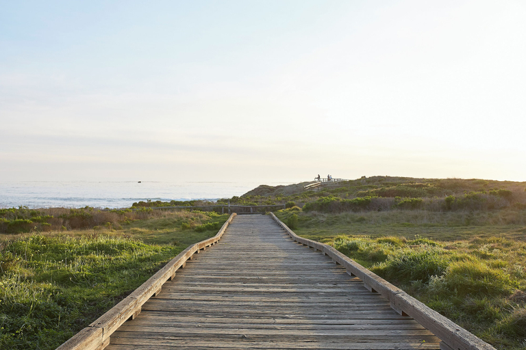 Miscellaneous 4, Herons Lodge, Monterey