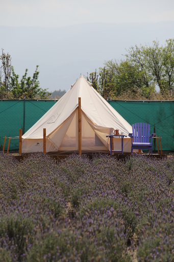 Terrace/patio 5, Glamping Rincón de Lavanda, Texcoco