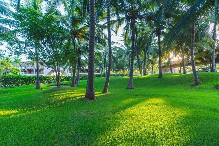 Property grounds 5, Escondite Residences, José Azueta