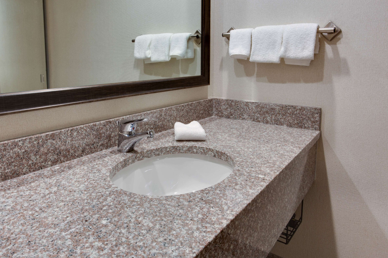 Bathroom 4, Drury Inn & Suites Nashville Airport, Davidson