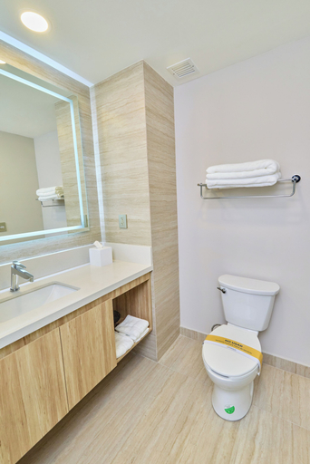 Bathroom 4, Holiday Inn Resort MONTERREY - SANTIAGO by IHG, Santiago