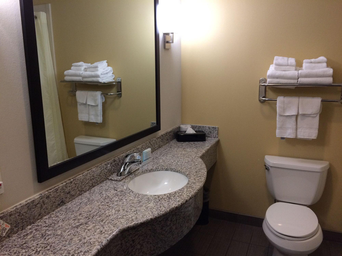 Bathroom 4, Sleep Inn & Suites Liberty - Kansas City, Kansas City