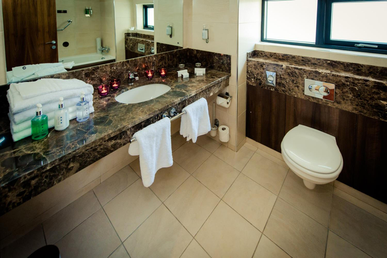 Bathroom 5, Glashaus Hotel, Dublin