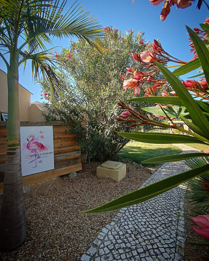 Garden, B&B Quinta Pereiro Tropic Garden, Olhão