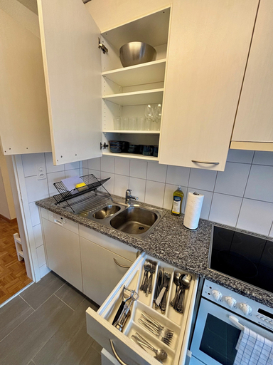 Private kitchen 2, Basic 2 BR Apartment in Witikon district, Zürich