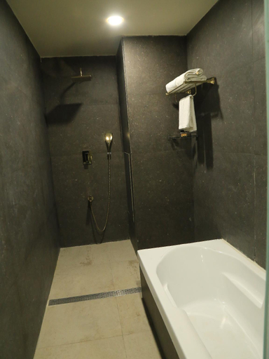 Bathroom 3, Bravia Hotel Panchsheel, Ajmer