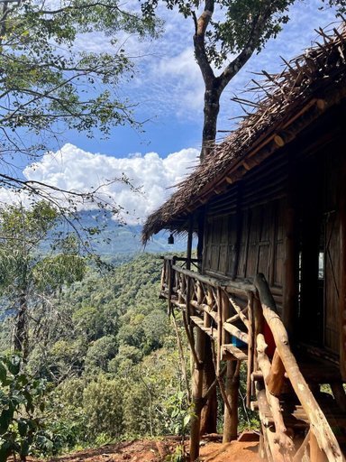 Room 4, Aaranyakam, Wayanad