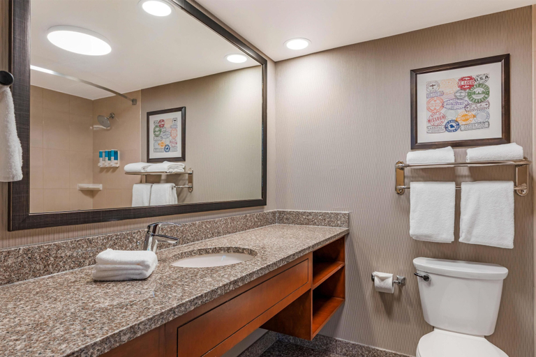Bathroom 4, Drury Plaza Hotel St. Louis Union Station, Saint Louis