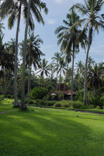 Exterior 2, Desa Cabins, Tabanan