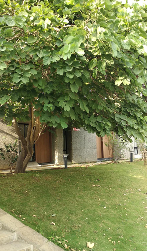 Exterior view 4, Nirvana Nature, Pune