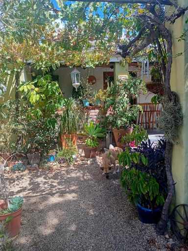 3, McGregor Backpackers, Cape Winelands