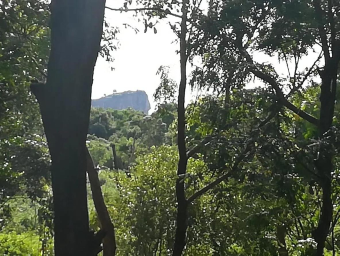 Others 3, New Sigiriya Farm House, Hingurakgoda
