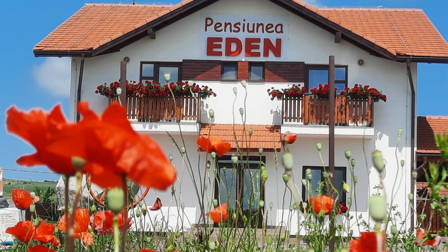 2, Pensiunea EDEN, Sandulesti