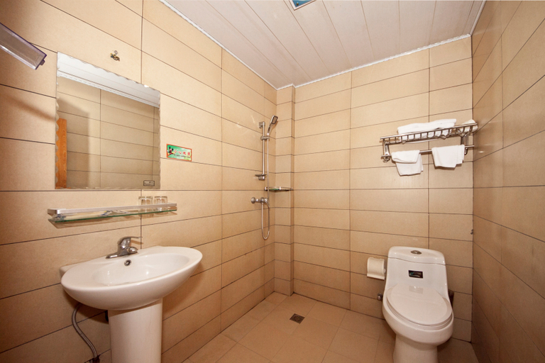 Bathroom, Qingnian Express Hotel, Nanping