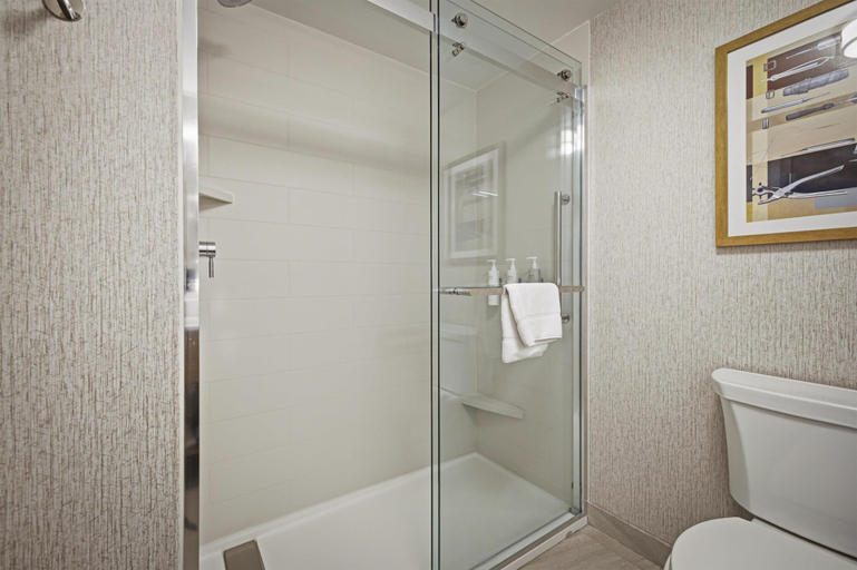 Bathroom 5, Hampton Inn Hickory, Catawba