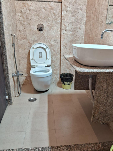 Others 5, Hotel Artika Inn, Chandauli