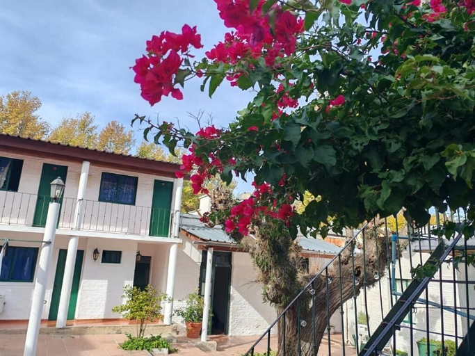 Exterior 2, Hostel Colibri, n.a540