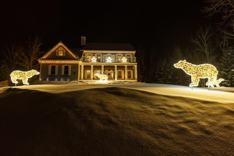 Others 4, Nature et Pinceaux, Charlevoix
