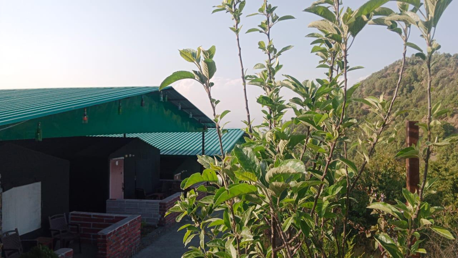 2, Himalayan Stay lodges Chakrata , Dehradun