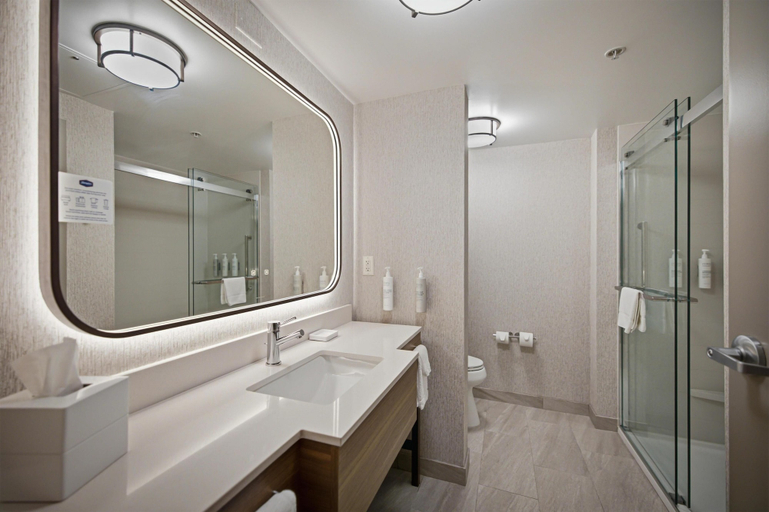 Bathroom 5, Hampton Inn Hickory, Catawba