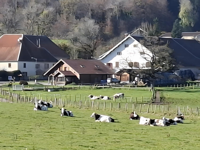 Others 4, Les Bruchels, Doubs