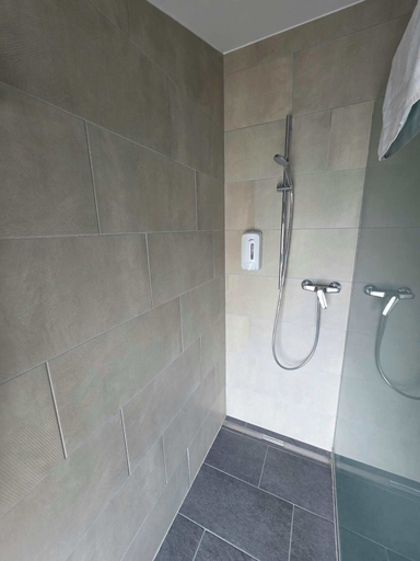 Bathroom 3, Regina, Lugano