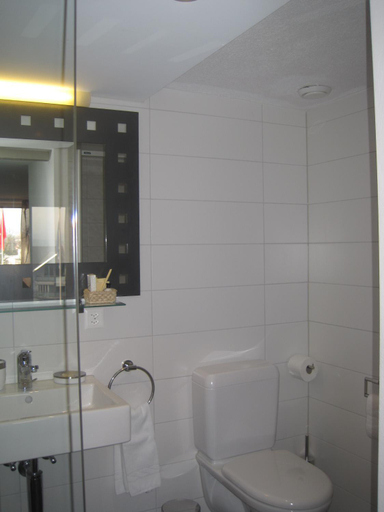 Bathroom 3, Gasthof Lowen, Hinwil