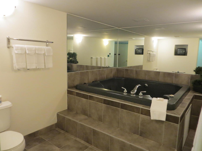 Bathroom 4, Comfort Inn & Suites, Division No. 11