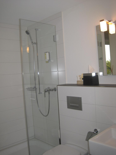 Bathroom 4, Gasthof Lowen, Hinwil