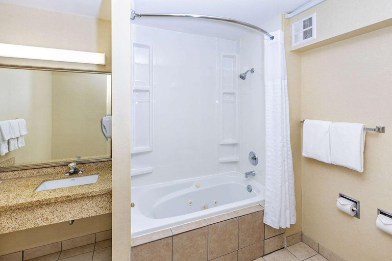Bathroom 4, Comfort Inn & Suites, Division No. 11