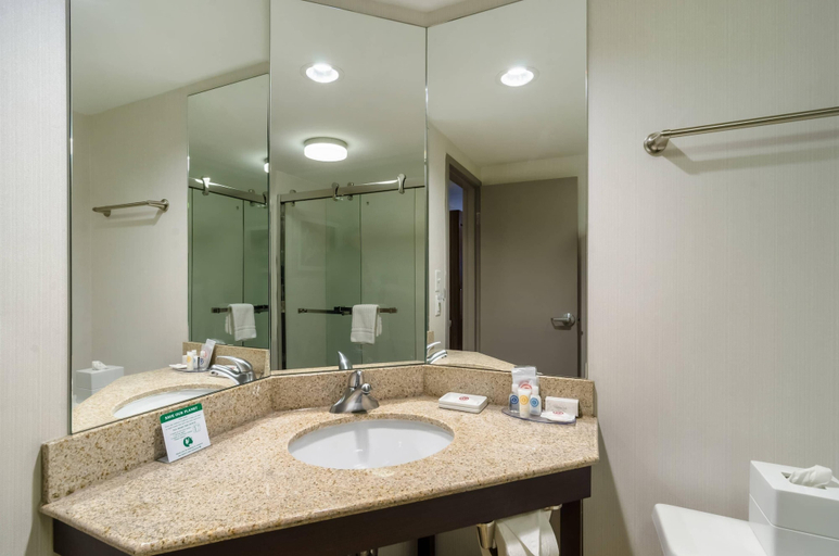Bathroom 4, Comfort Inn Raleigh Midtown, Wake