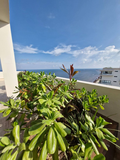 Property grounds 5, Beatiful Loft in Puerto Morelos Beach Front 9-4, Benito Juárez