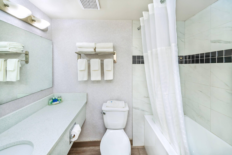 Bathroom 4, Rodeway Inn, Division No. 14