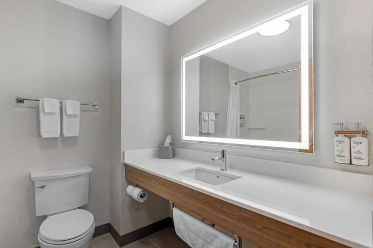 Bathroom 4, Holiday Inn Express & Suites CHARLOTTE by IHG, Eaton