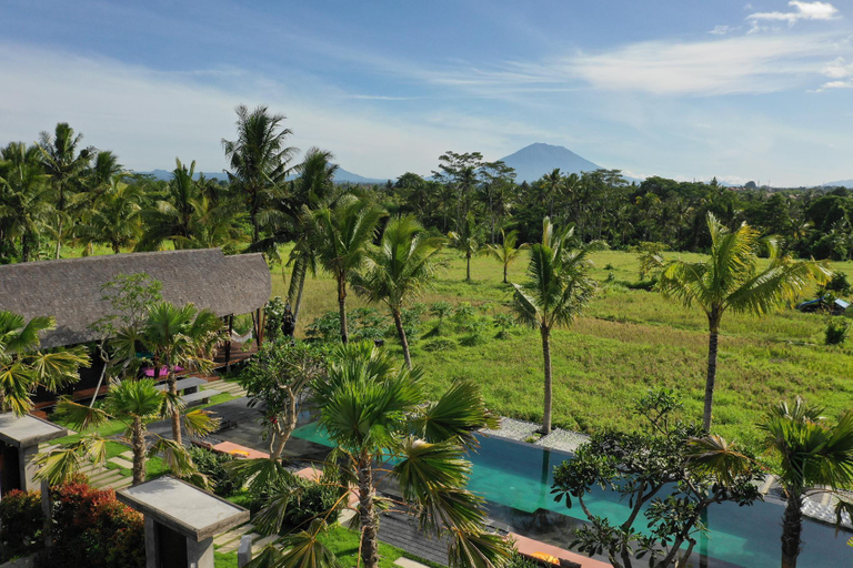 View 3, Podpadi Design Spaces Ubud, Gianyar