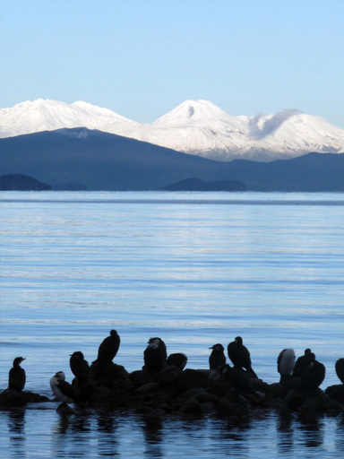 Others 3, The Lakeside Villas, Taupo, Taupo