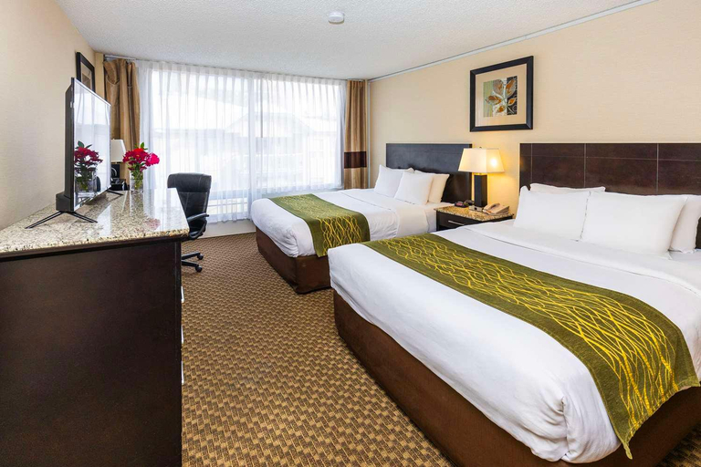 Bedroom 3, Comfort Inn & Suites, Division No. 11